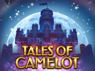 Tales Of Camelot game cover