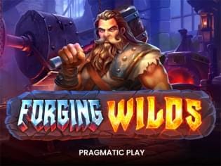 Forging Wilds game cover