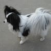 Buse Aydin avatar